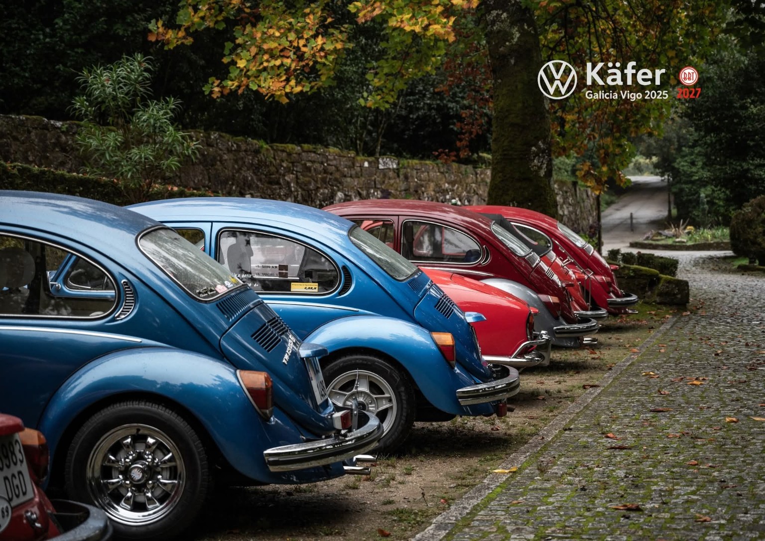Fila de Volkswagen Escarabajo del encuentro Käfer Galicia 2025